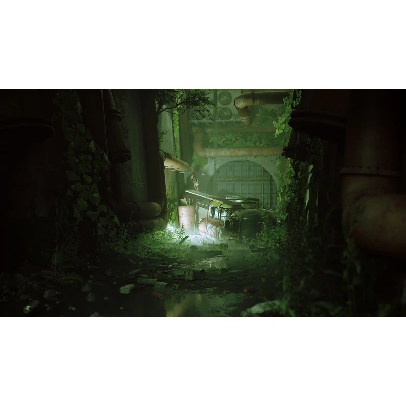 Stray (PS4)