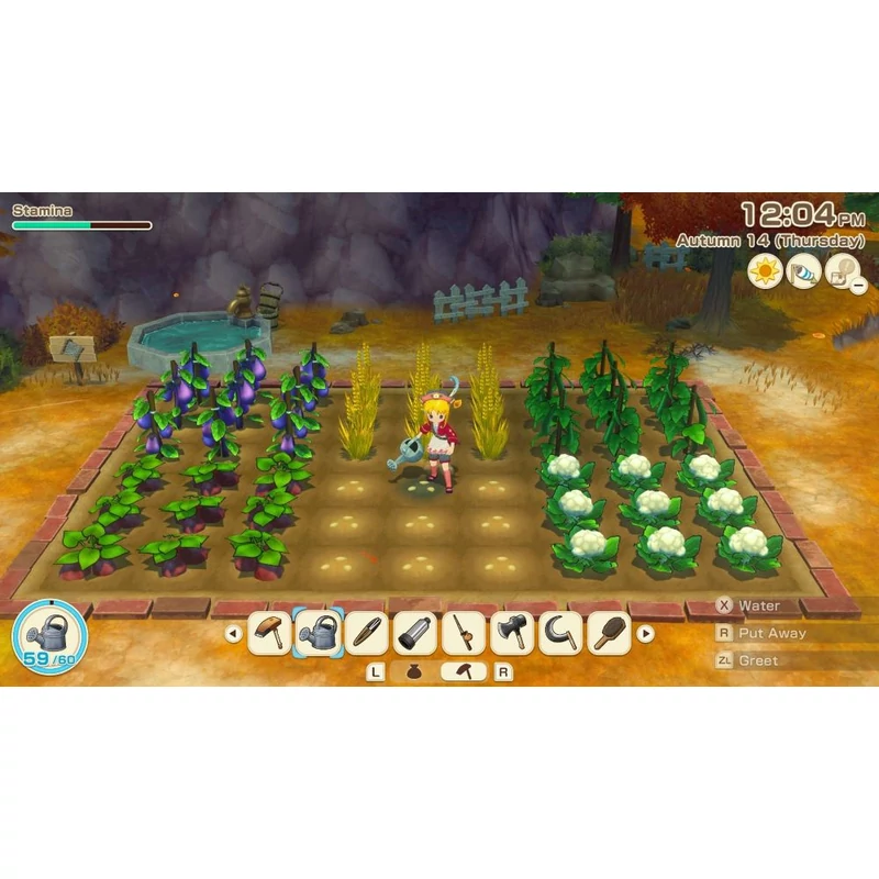 Story of Seasons: Grand Bazaar (Switch 2)