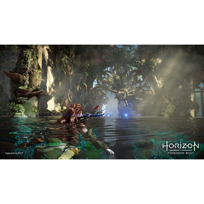 Horizon Forbidden West (PS4)