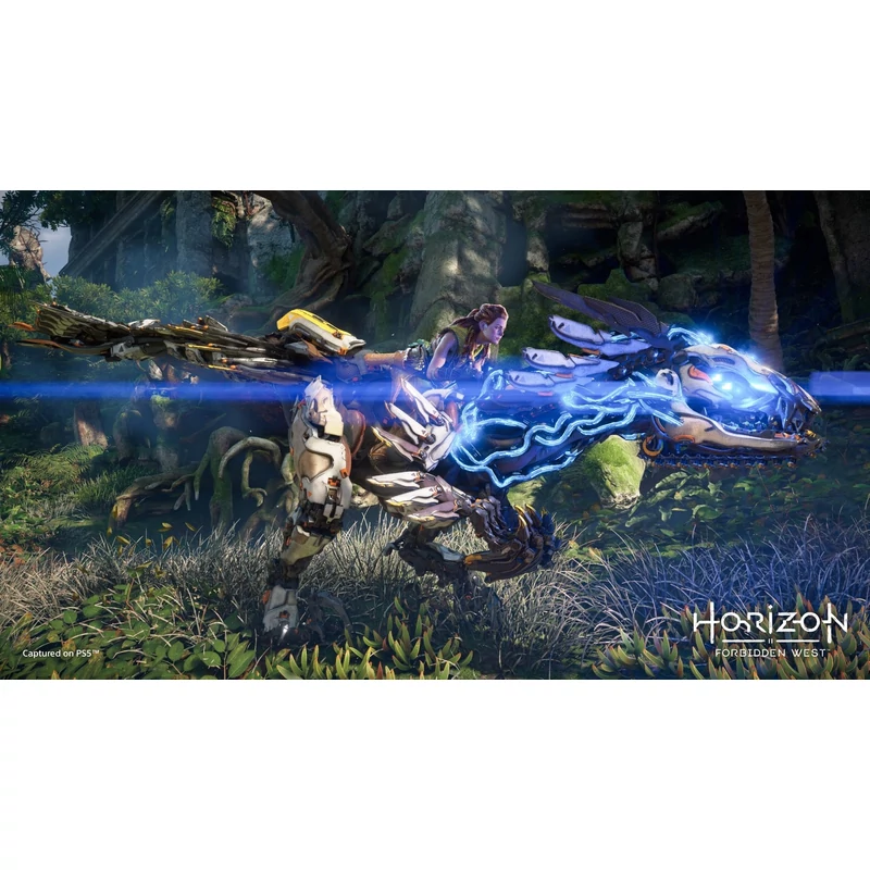 Horizon Forbidden West (PS4)